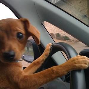 Meet your Posher, Jeff